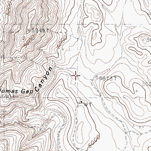 Topographic Map of White Swan, NM