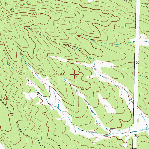 Topographic Map of Bojo Placer Number One, NM