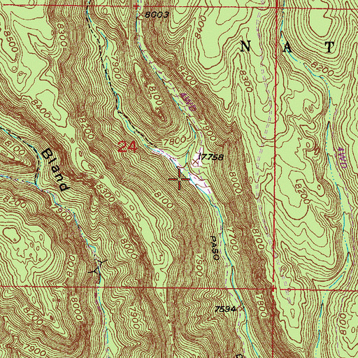 Topographic Map of Caon del Norte, NM
