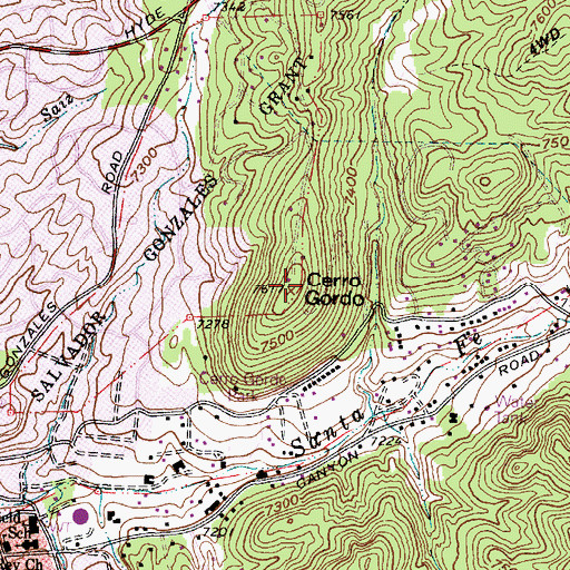 Topographic Map of Cerro Gordo, NM