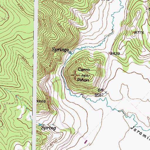 Topographic Map of Cerro Pion, NM