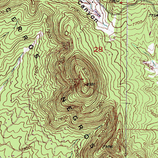 Topographic Map of Cerros Negros, NM