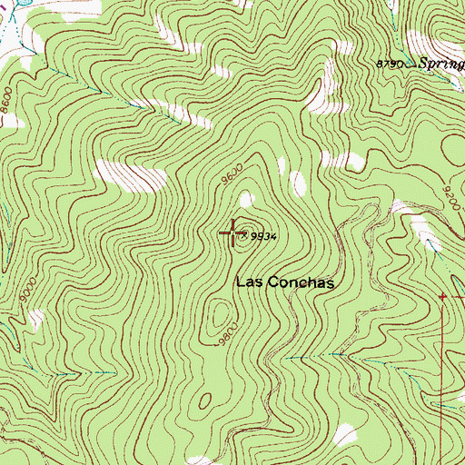 Topographic Map of Las Conchas, NM