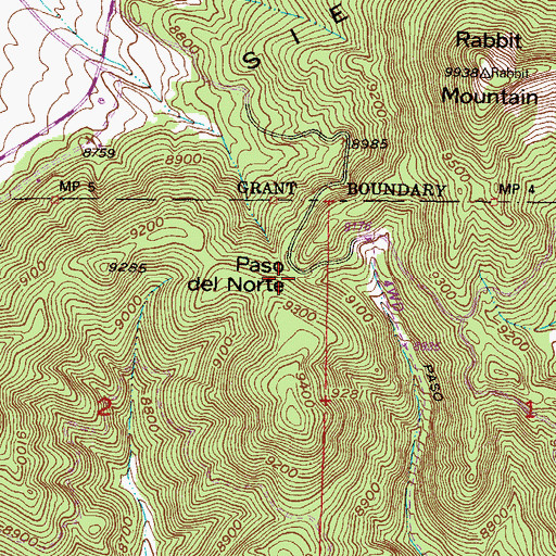 Topographic Map of Paso del Norte, NM
