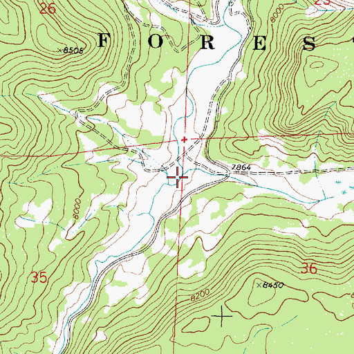 Topographic Map of School Section Canyon, NM