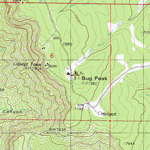 Topographic Map of Bug Peak, NM