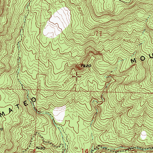 Topographic Map of San Mateo Mountains, NM
