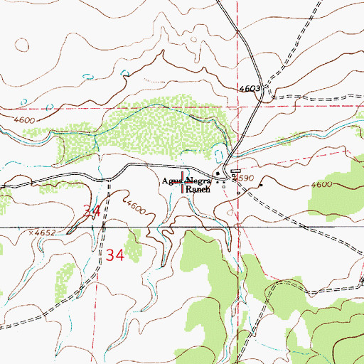 Topographic Map of Agua Negra (historical), NM