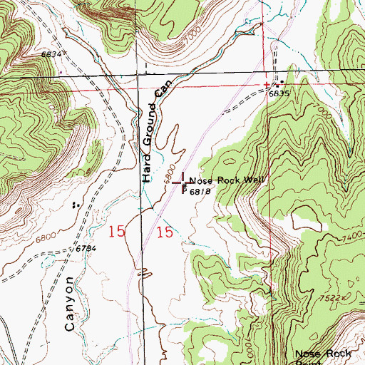 Topographic Map of 16T-510 Water Well, NM