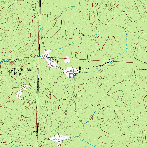 Topographic Map of Rouse Place Water Well, NM