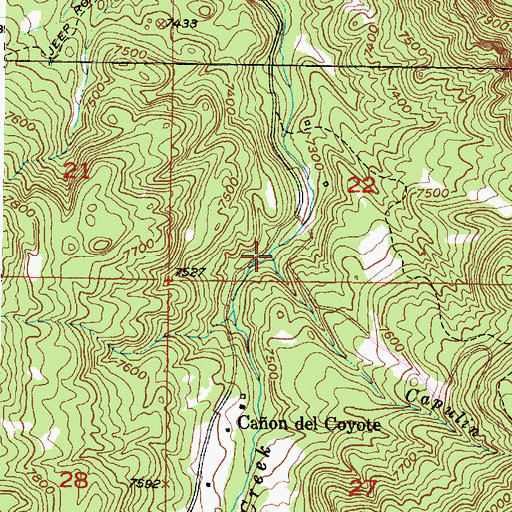 Topographic Map of Capulin Creek, NM