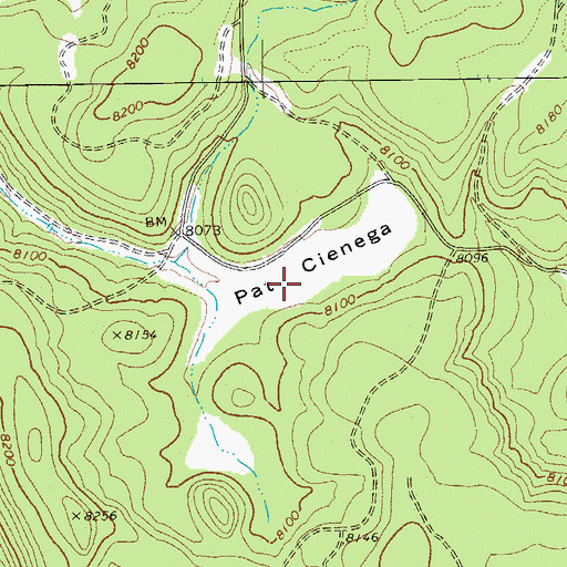 Topographic Map of Pat Cienega, AZ