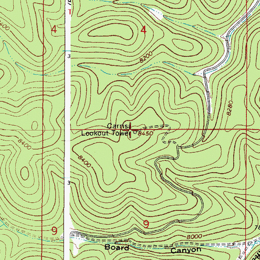 Topographic Map of Carrisa Lookout Tower, NM