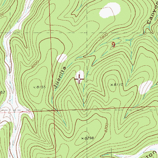 Topographic Map of Bear Track Canyon, NM