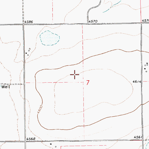 Topographic Map of Seals, NM