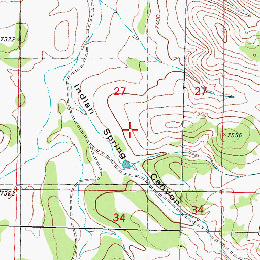 Topographic Map of Indian Springs, NM