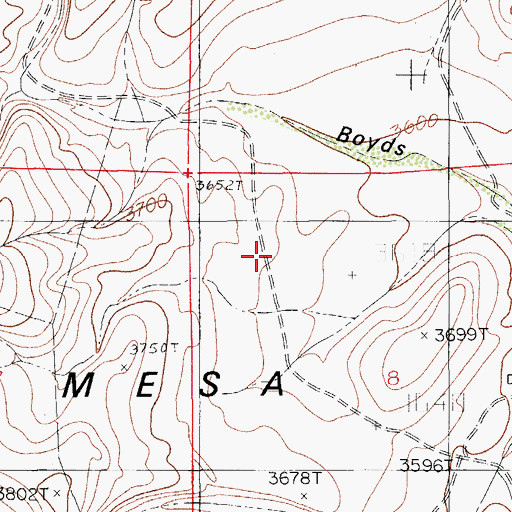 Topographic Map of Boy D S Waterhole, NM