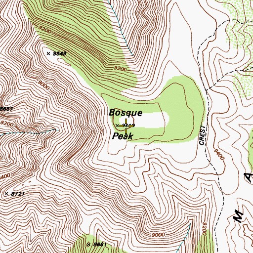 Topographic Map of Bosque Peak Cemetery, NM