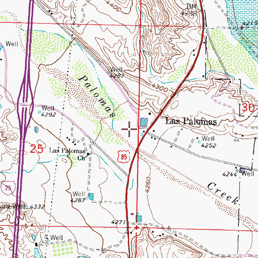 Topographic Map of Palomas Cemetery, NM