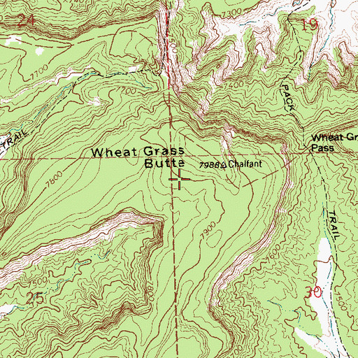 Topographic Map of Wheat Grass Butte, NM