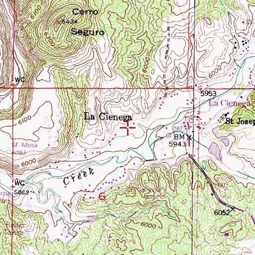 Topographic Map of Cieneguilla Pueblo Historic Site, NM