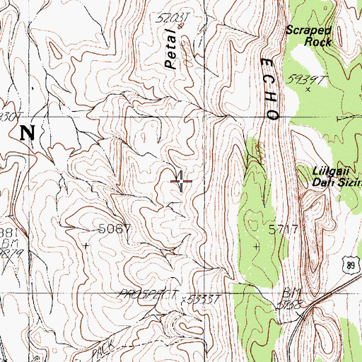 Topographic Map of Petal Hills, AZ