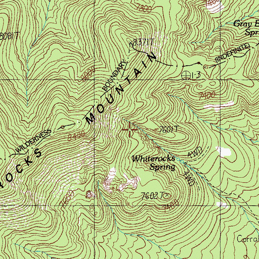 Topographic Map of Whiterocks Spring, NM
