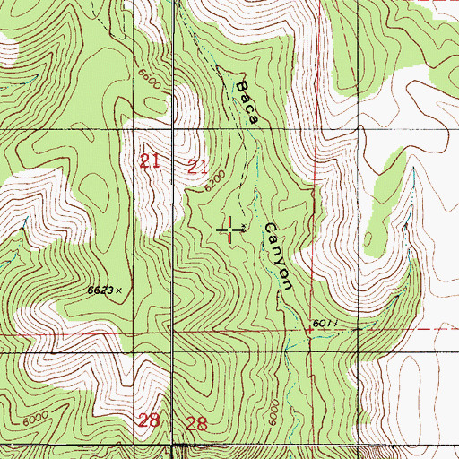 Topographic Map of Baca Canyon Well, NM