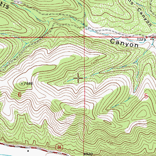 Topographic Map of Lower Robinson Tank, NM