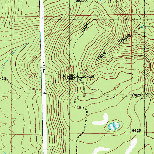 Topographic Map of El Caso Lookout, NM