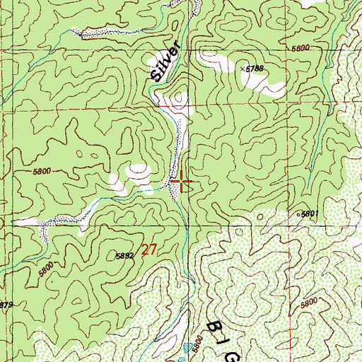 Topographic Map of Silver Dale Corral, NM