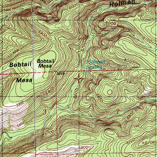 Topographic Map of Holmon Spring, NM