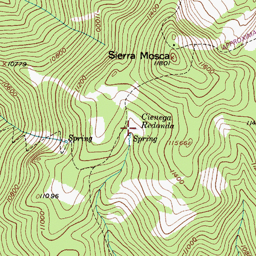 Topographic Map of Cienega Redonda, NM