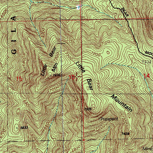 Topographic Map of Little Bear Mountain, NM