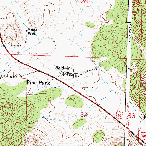 Topographic Map of Baldwin Forest Service Station, NM