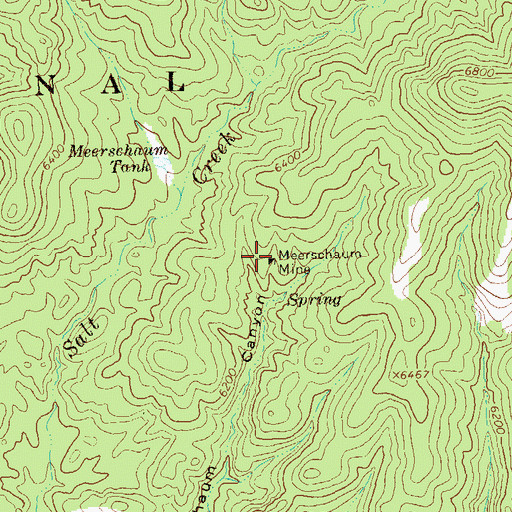 Topographic Map of Meerschaum Mine, NM