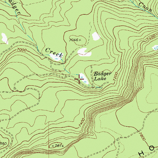 Topographic Map of Badger Lake, AZ