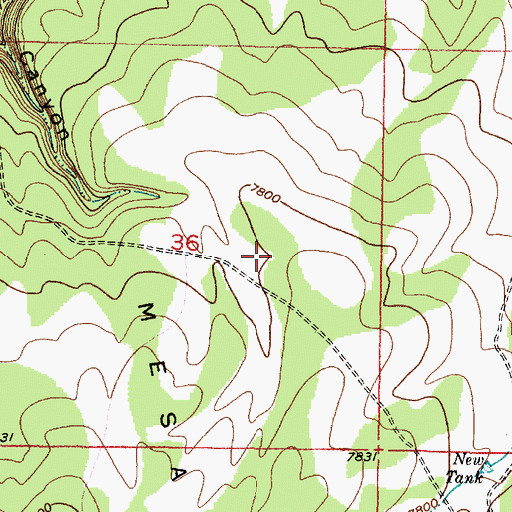 Topographic Map of West Tank, NM
