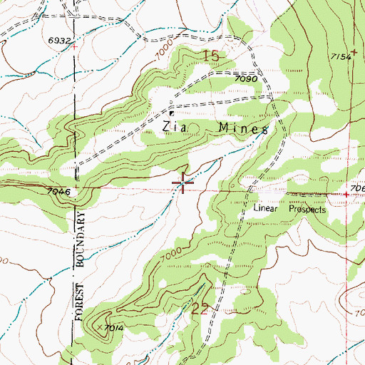 Topographic Map of Last Chance Mine, NM