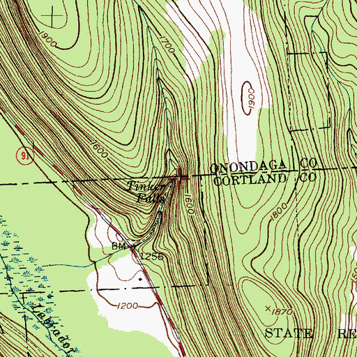Topographic Map of Tinker Falls, NY