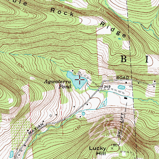 Topographic Map of Agwaterra Pond, NY