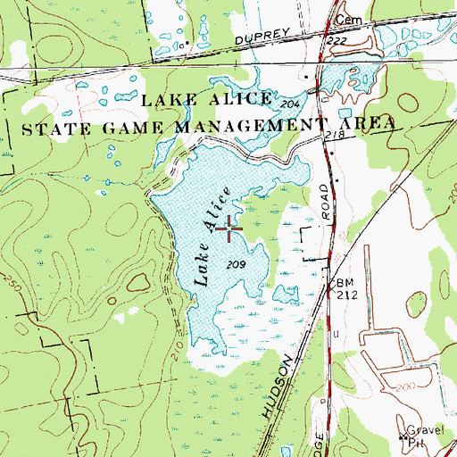 Topographic Map of Lake Alice, NY