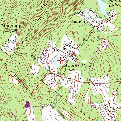 Topographic Map of Amdur Park Lake, NY
