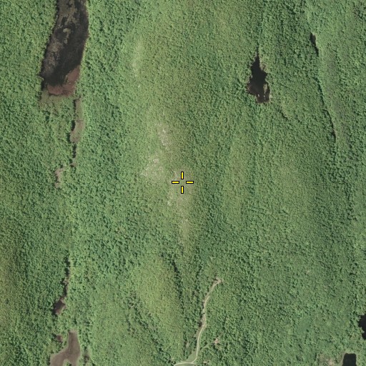 Aerial/Satellite Image of Bald Mountain, NY
