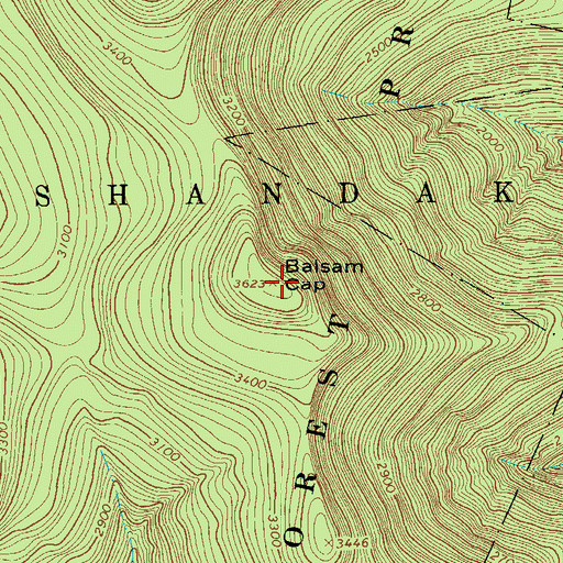 Topographic Map of Balsam Cap, NY