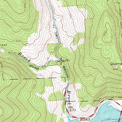 Topographic Map of Barbour Brook, NY