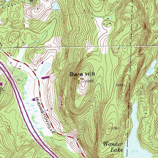 Topographic Map of Bare Hill, NY