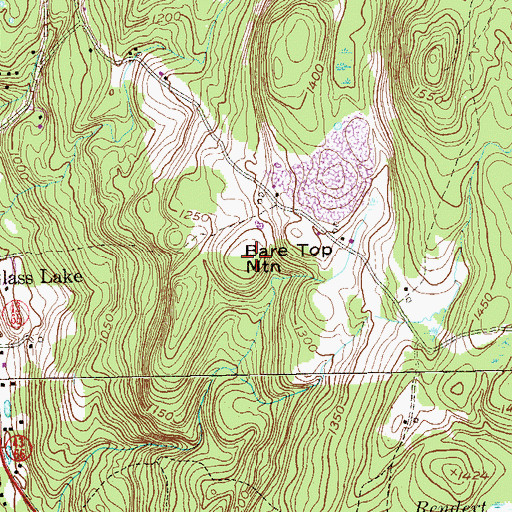 Topographic Map of Bare Top Mountain, NY