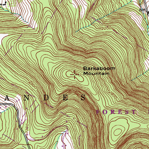 Topographic Map of Barkaboom Mountain, NY