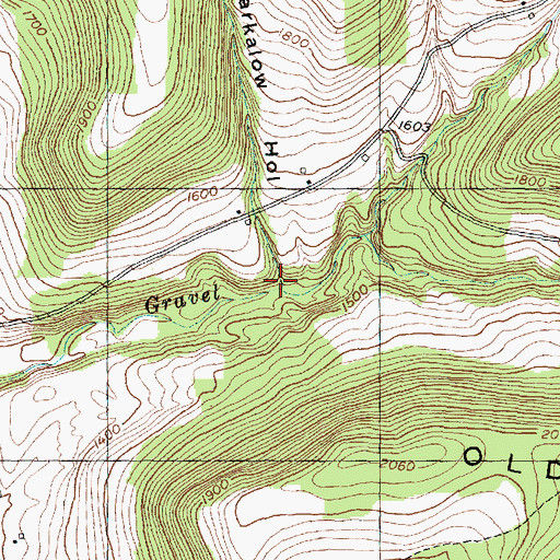 Topographic Map of Barkalow Hollow, NY